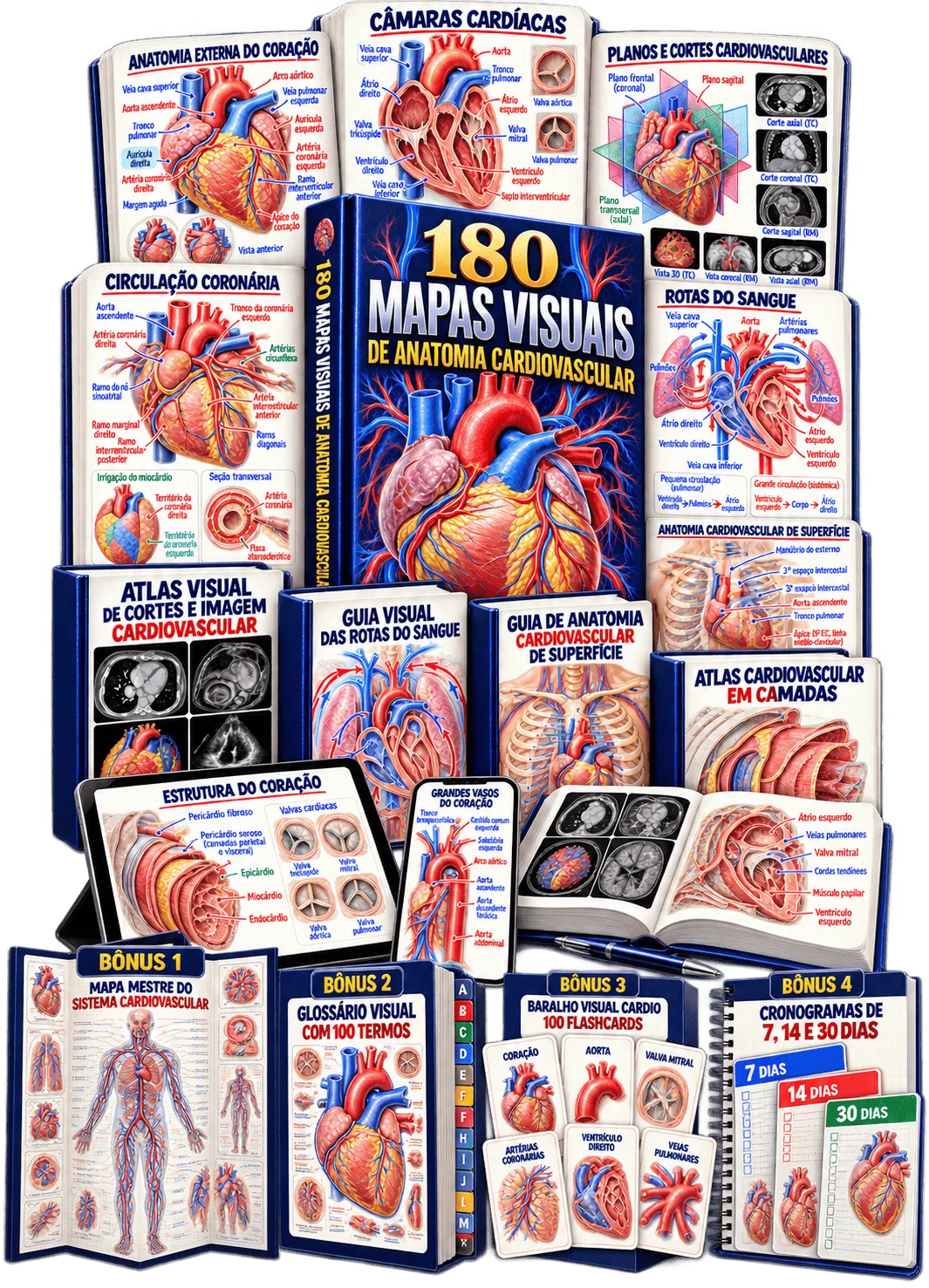 Tudo que você recebe — Kit 180 Mapas Mentais de Anatomia Cardiovascular